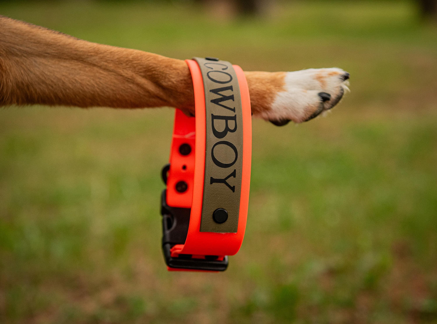 Custom Made Biothane Dog Collars. Custom Sizing.
