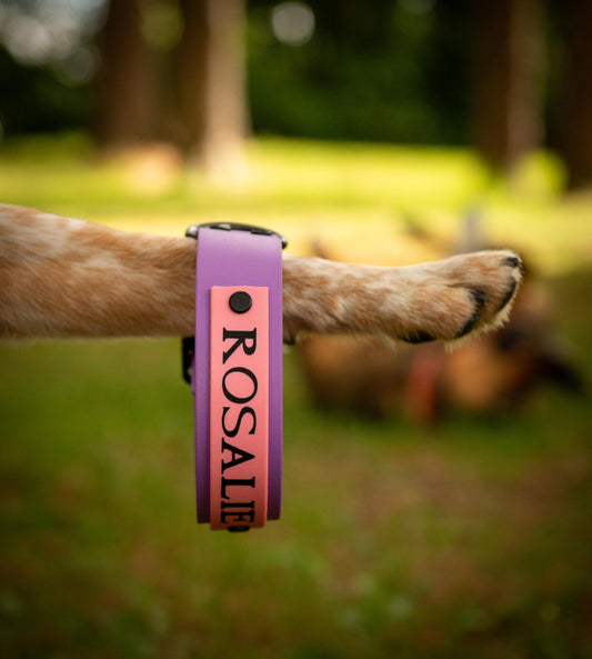 Custom Made Biothane Dog Collars. Custom Sizing.